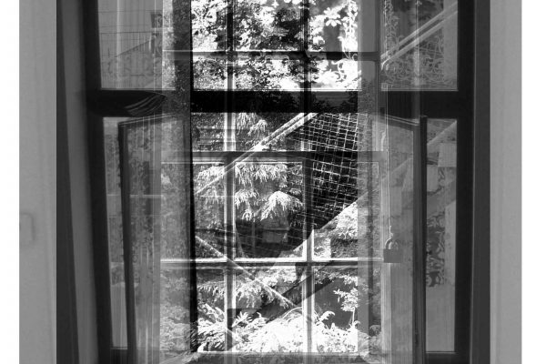 Berggasse_Maresfield window low res